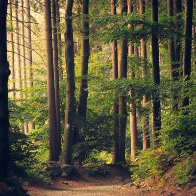 凯发游戏手机app下载