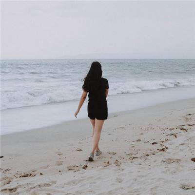 澳门天天免费资料大全下载